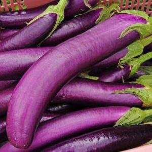 Quả Cà Tím (1 Kilogram)