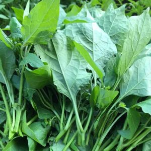 Rau Tầm Bóp (1 Kilogram)