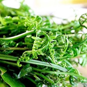 Rau Dớn (1 Kilogram)