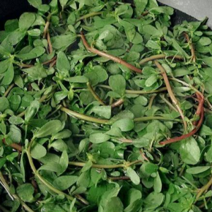 Rau Sam (Bó 400 Gram)