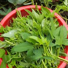 Rau Lang ( Bó 400 Gram)